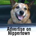 Advertise on Nippertown!
